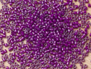 Бисер Япония MIYUKI Delica цилиндрический 11/0 5г DB-0281 бледно-пурпурный с цветной линией блестящий